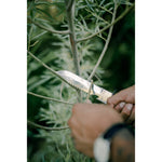 Survival Knife Set with Sheath product image 5